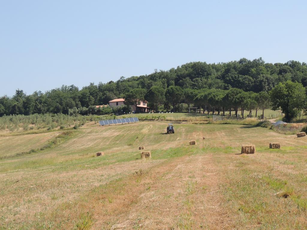 Agriturismo Podere Borgognano Massa Marittima Exterior foto