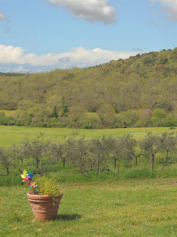 Agriturismo Podere Borgognano Massa Marittima Exterior foto